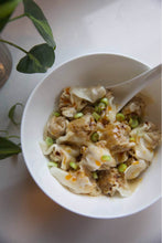 Load image into Gallery viewer, Setolicious Wonton Kit